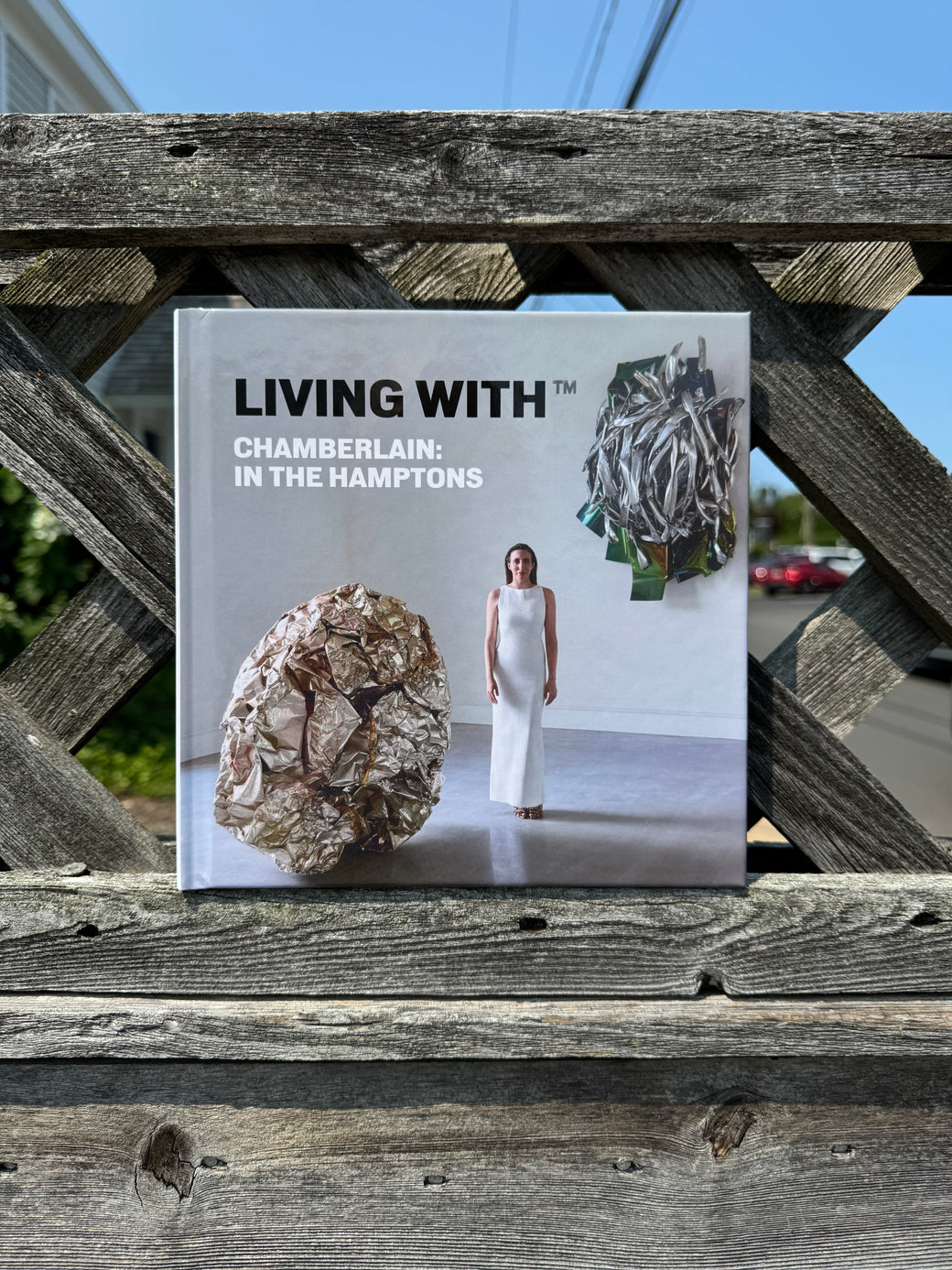 Living With™️ Chamberlain: In The Hamptons